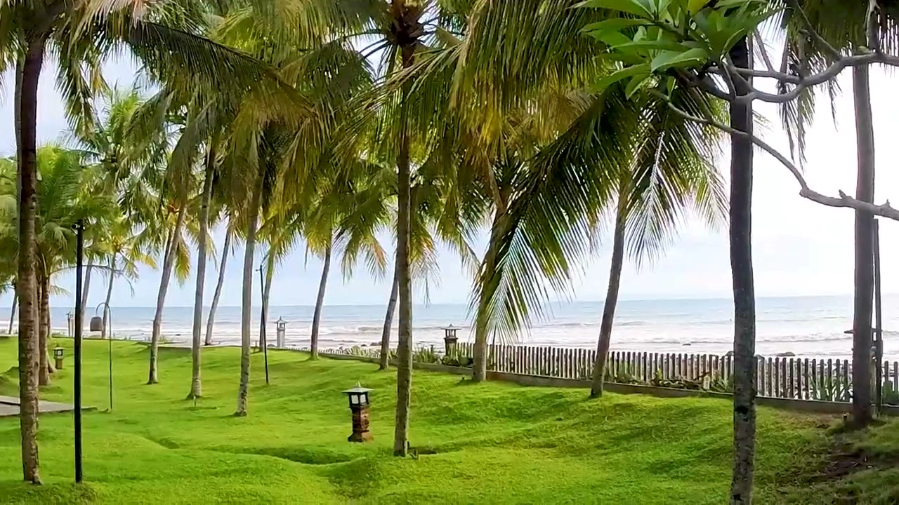 ビーチの景色（ヤシ・海）｜2026年4月 バリ島ハーレーツーリング — TEAM THE GHOST West Bali