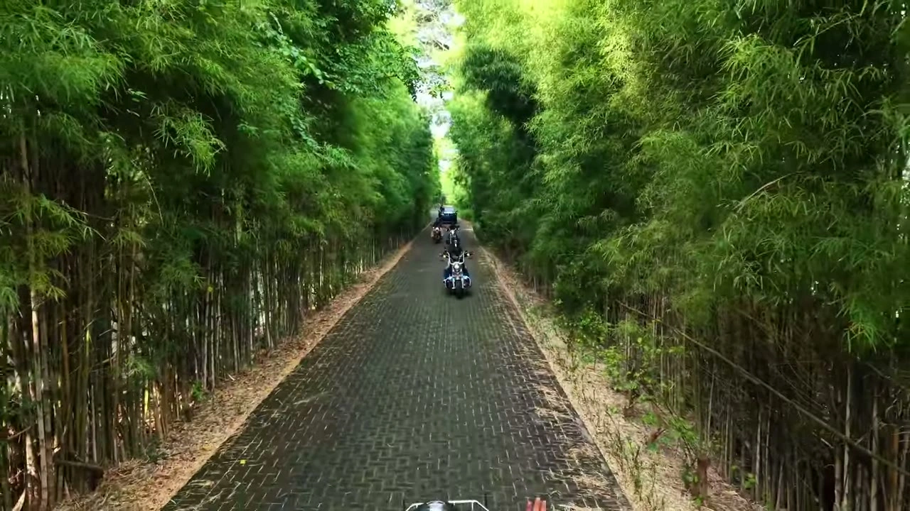 竹並木のグリーントンネルを走る（美しい）｜2026年5月 バリ島ハーレーツーリング — TEAM THE GHOST West Bali