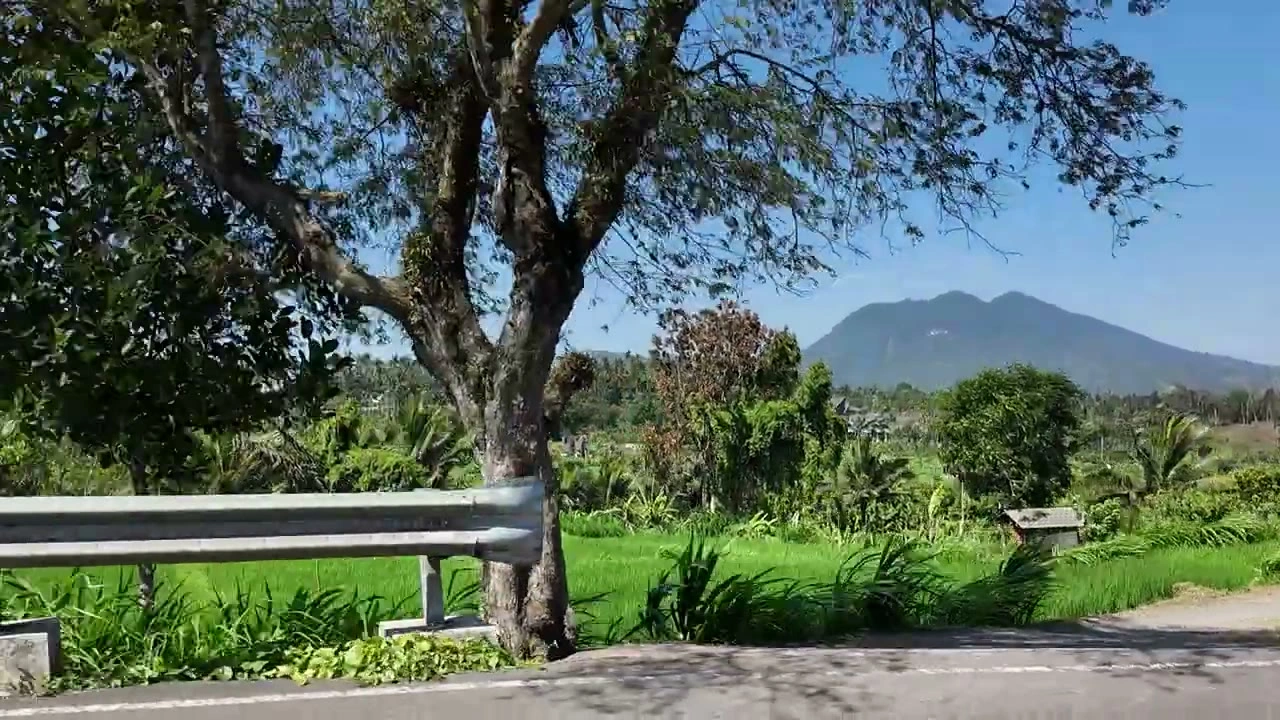 田んぼの向こうにそびえる山｜2026年9月 バリ島ハーレーツーリング — TEAM THE GHOST West Bali