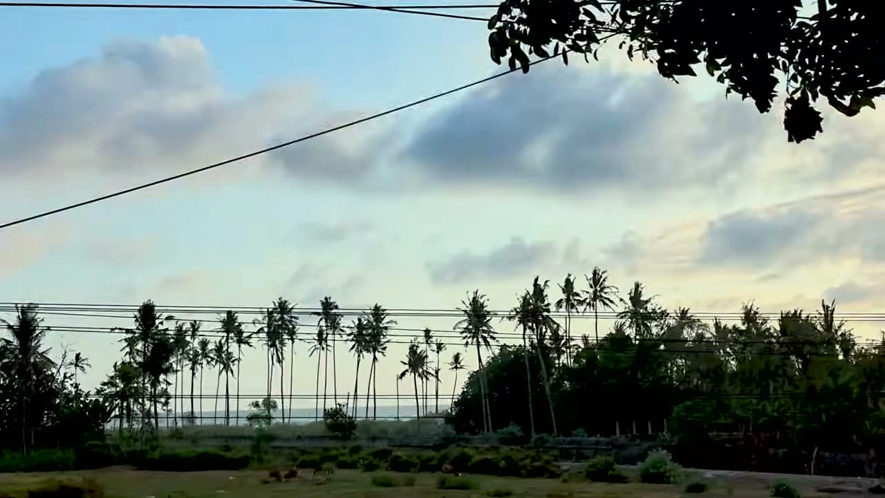 ヤシの木が並ぶ海辺の夕空｜2026年10月 バリ島ハーレーツーリング — TEAM THE GHOST West Bali